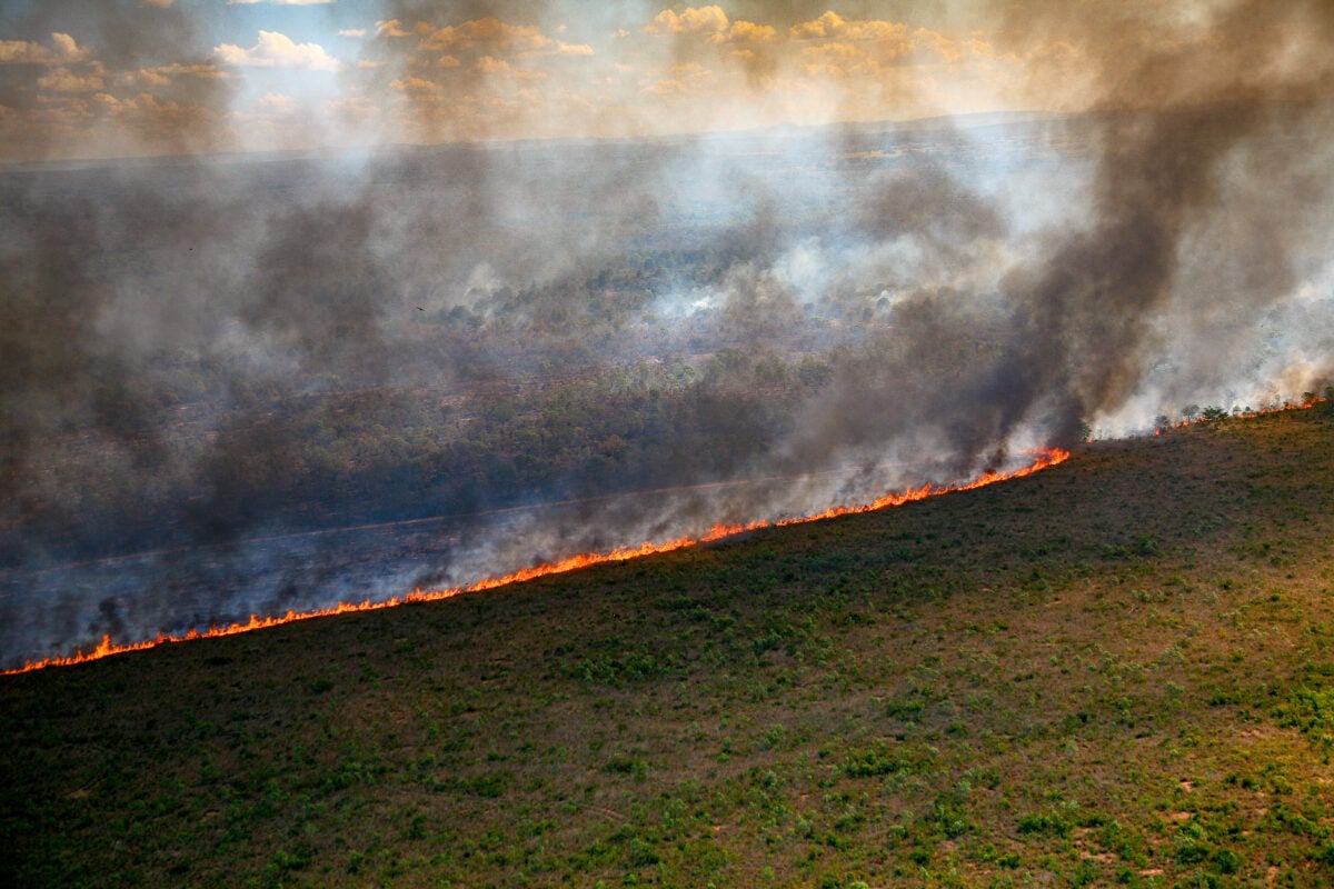 Photo shows a large strip of fire burning the edge of the Amazon rainforest in Brazil