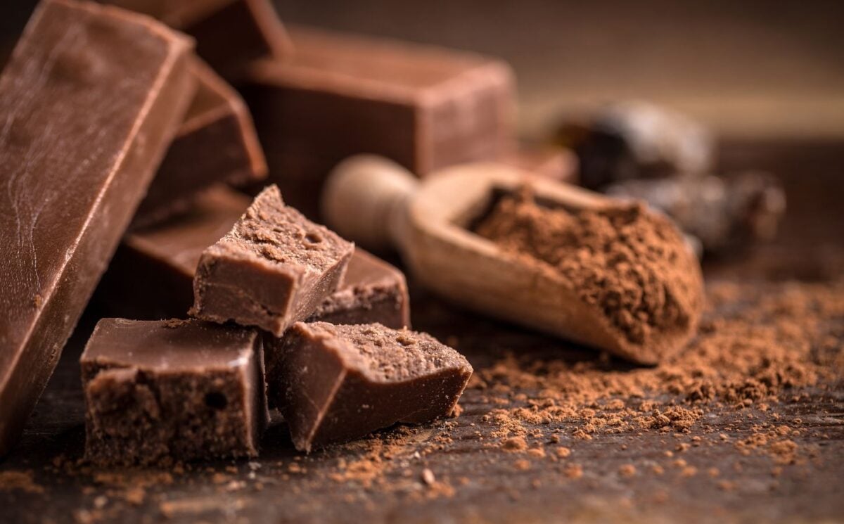 Some homemade chocolate next to some chocolate powder