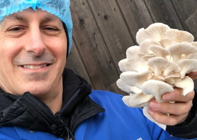 Photo shows chef Derek Sarno wearing PPE and holding up a handful of bright white, layered mushrooms to the camera