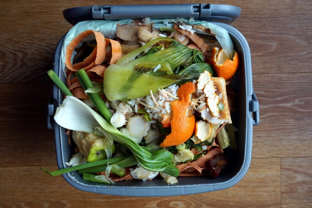 A compost bin filled with food waste