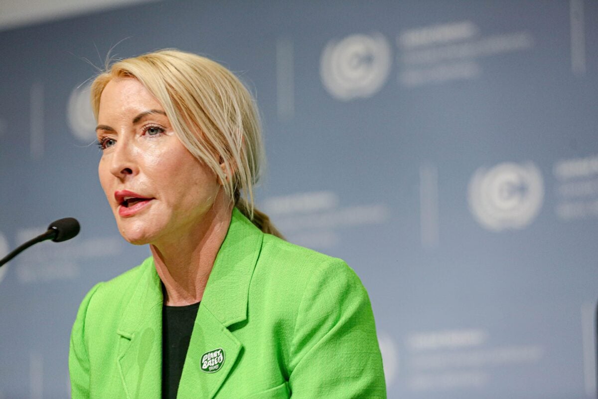 Vegan celebrity Heather Mills speaking at a climate summit