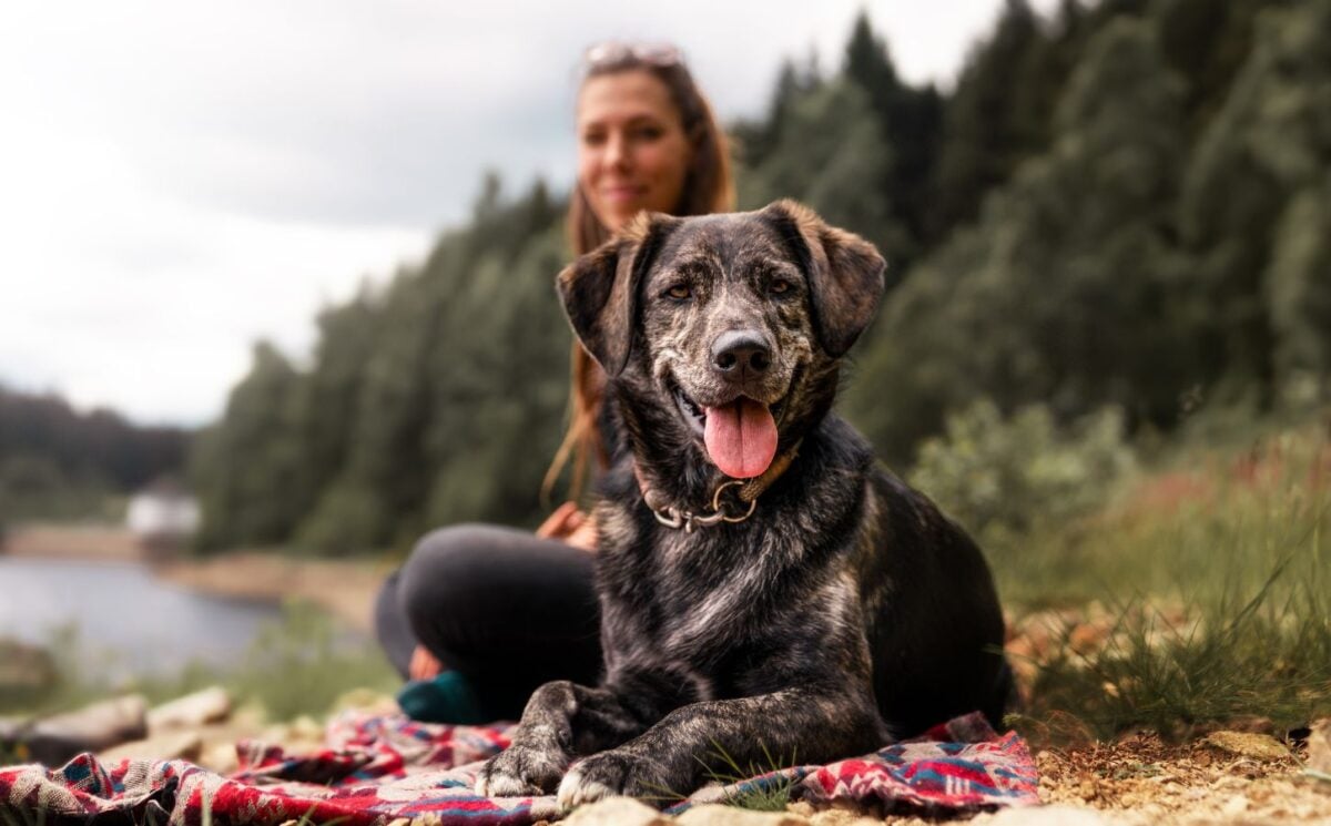 Photo shows a young woman sat behind a dog on the edge of a lake