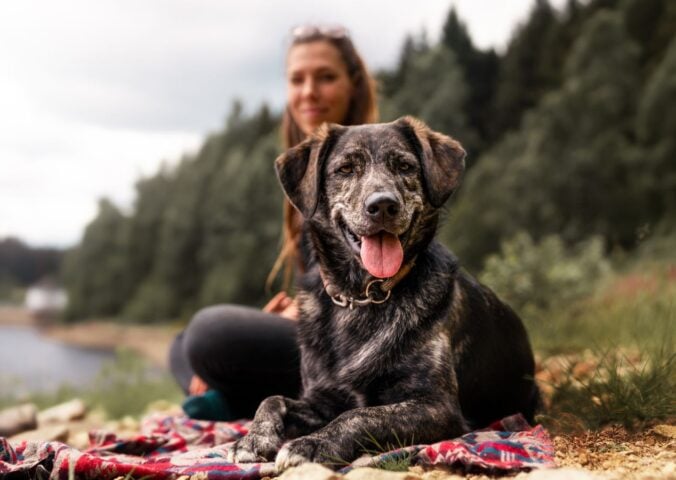 Photo shows a young woman sat behind a dog on the edge of a lake