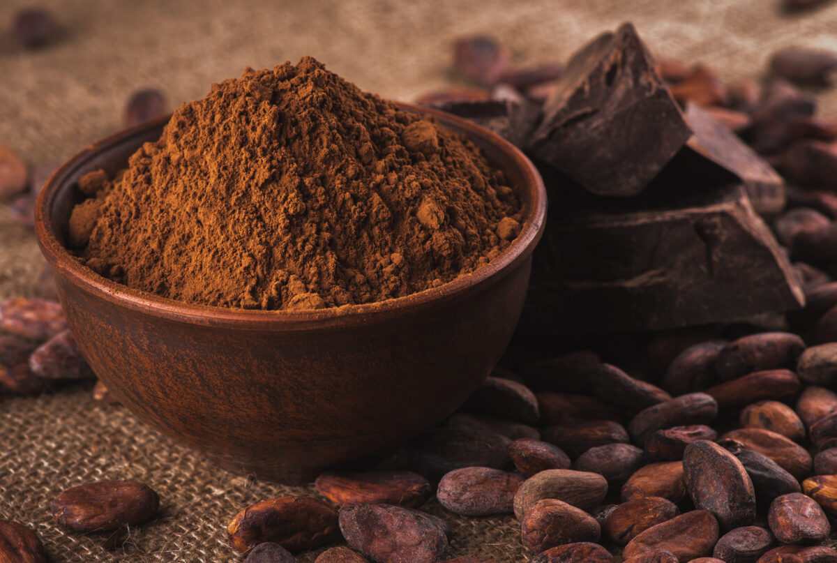 Photo shows a small brown dish of cocoa powder alongside cocoa beans and pieces of dark chocolate