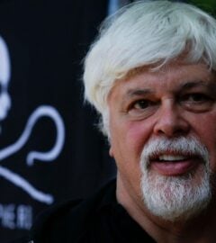 Photo shows anti-whaling activist Paul Watson standing in front of a Sea Shepherd flag