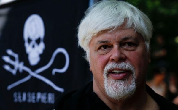 Photo shows anti-whaling activist Paul Watson standing in front of a Sea Shepherd flag