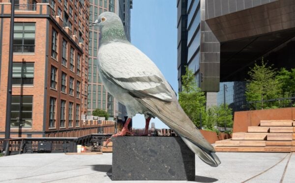 A Huge Pigeon Statue Is Coming To New York City