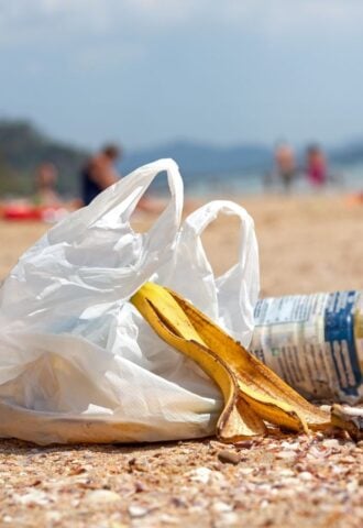 Plastic bag on a beach next to a banana skin and plastic bottle