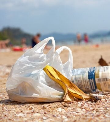 Plastic bag on a beach next to a banana skin and plastic bottle