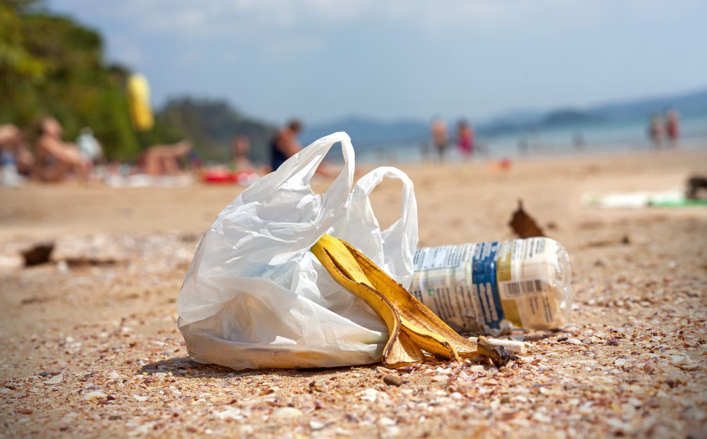 Plastic bag on a beach next to a banana skin and plastic bottle