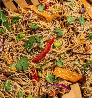 a picture of rainbow peanut noodles made with spinach, edamame, red bell pepper, and peanut sauce