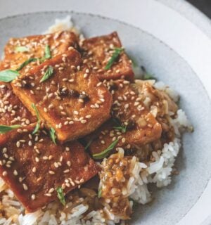 a picture of sticky coconut milk braised tofu on jasmine rice topped with Thai basil and sesame seeds