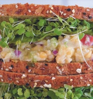 a picture of an apple and chickpea sandwich with sprouts perfect for a vegan packed lunch idea