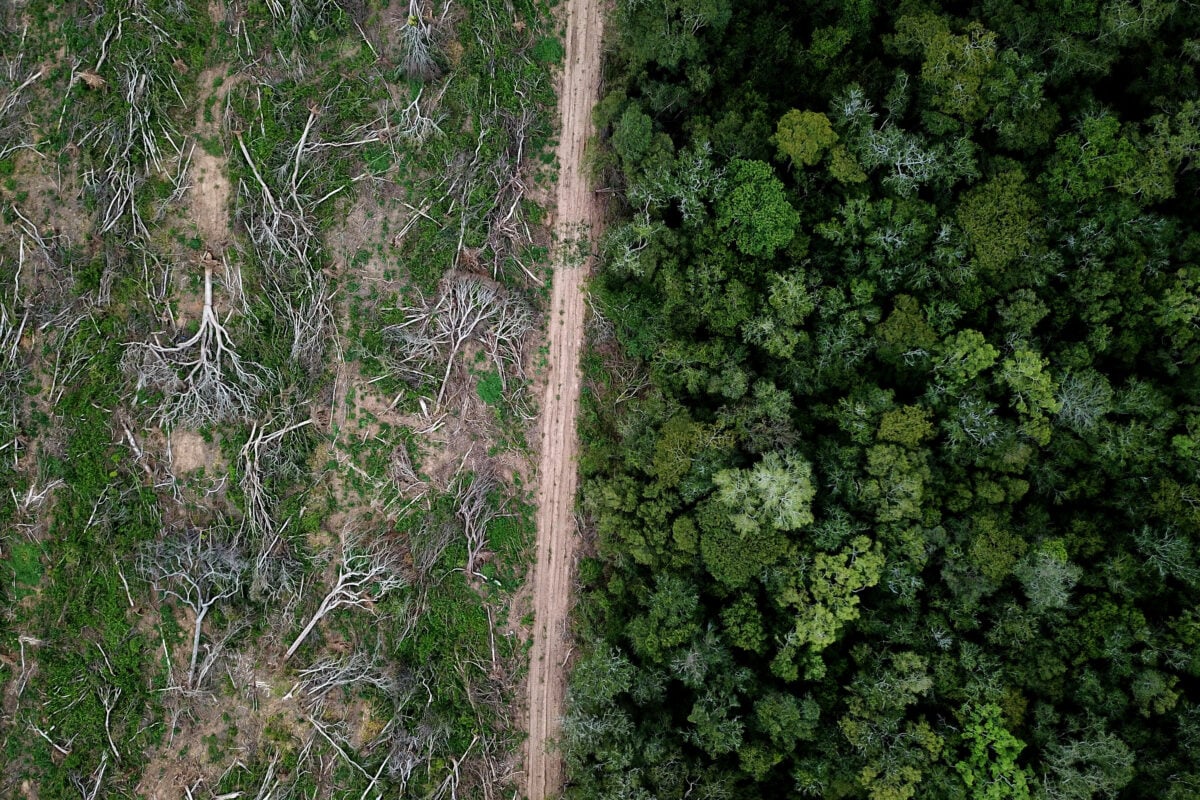 Photo shows the stark line between Amazon rainforest and deforested pasture