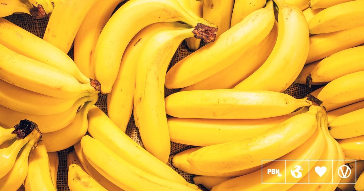 Are Bananas Really Going Extinct?
