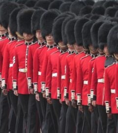 The King's Guard standing in a line wearing black fur caps, which are controversially made with real black bear fur