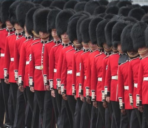 The King's Guard standing in a line wearing black fur caps, which are controversially made with real black bear fur