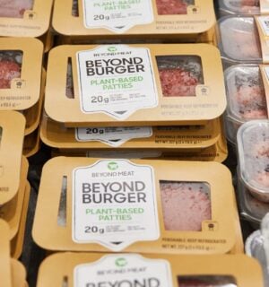 Beyond Meat