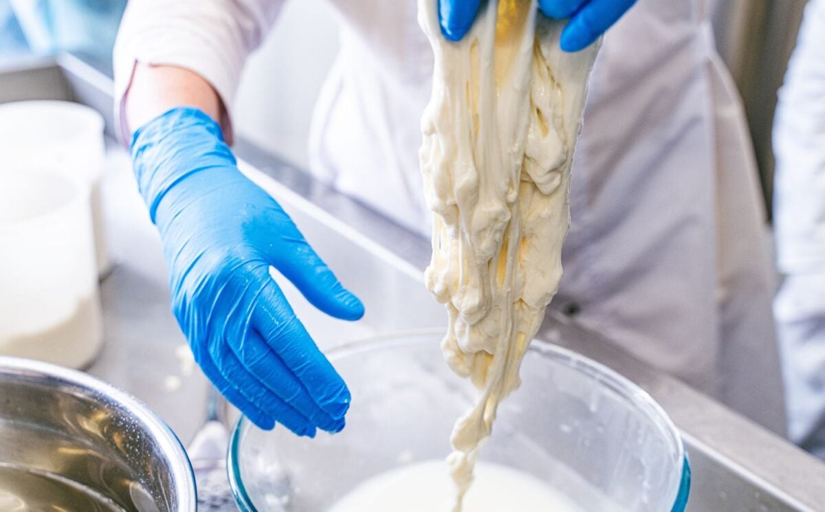 Buffalo mozzarella being made