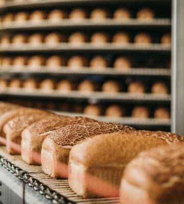 Loaves of bread being processed on a conveyor at a factory