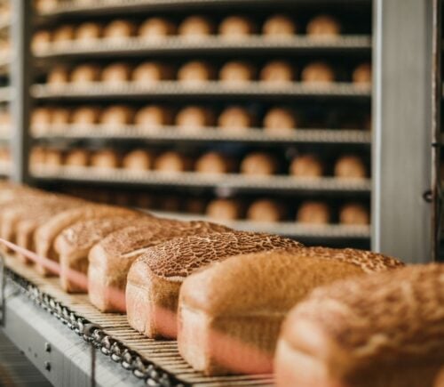 Loaves of bread being processed on a conveyor at a factory