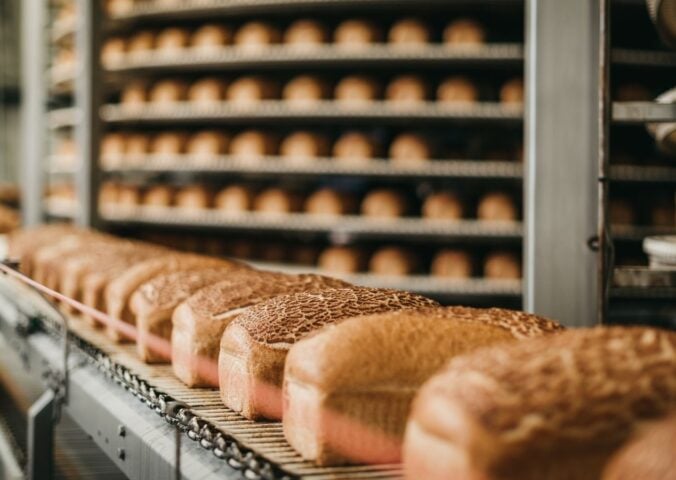 Loaves of bread being processed on a conveyor at a factory