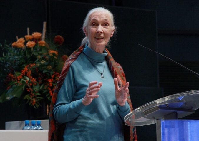 Photo shows Dr Jane Goodall speaking at an event