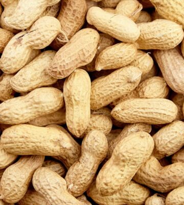 peanut shells