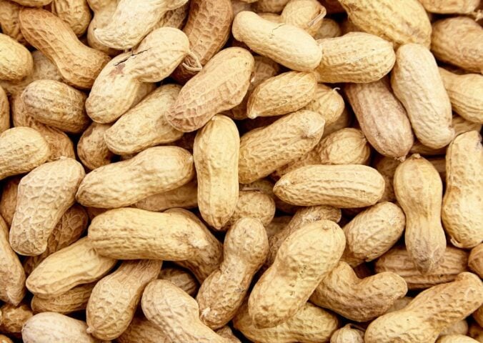 peanut shells