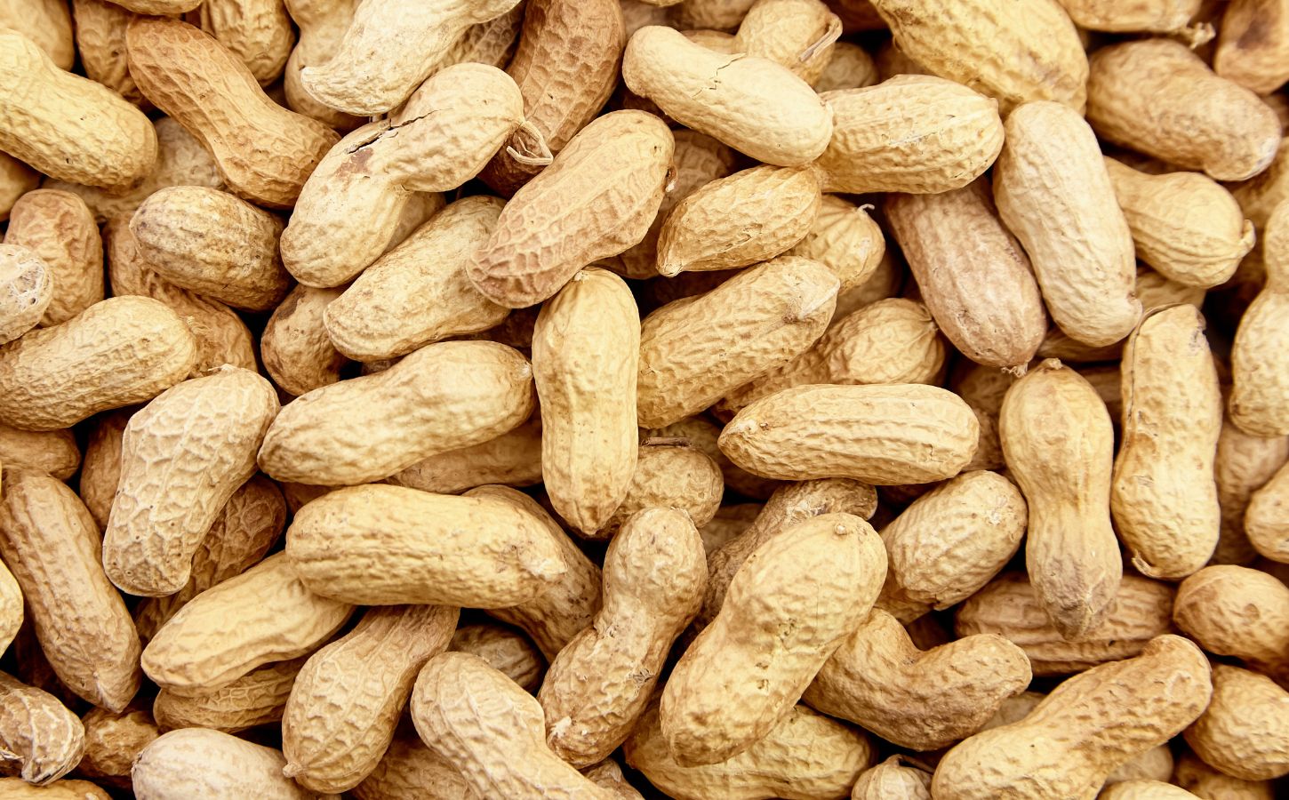 peanut shells