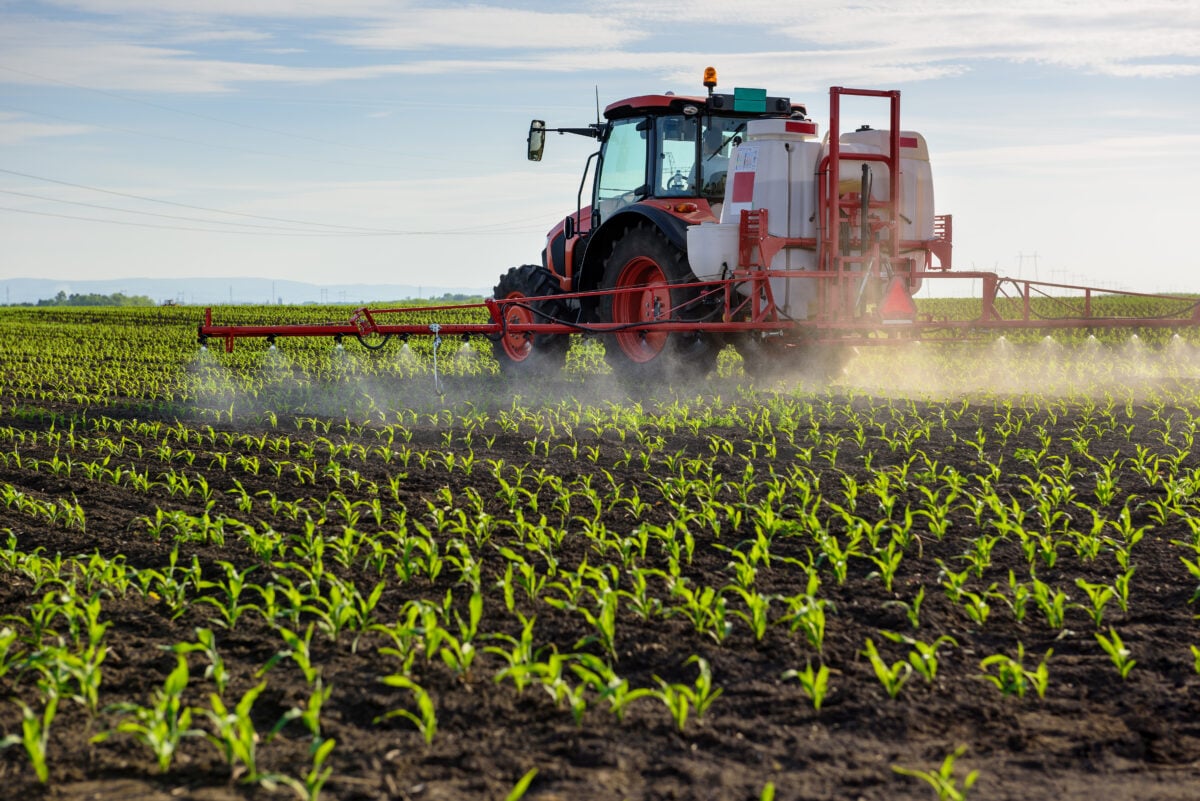 Pesticides being sprayed on corn