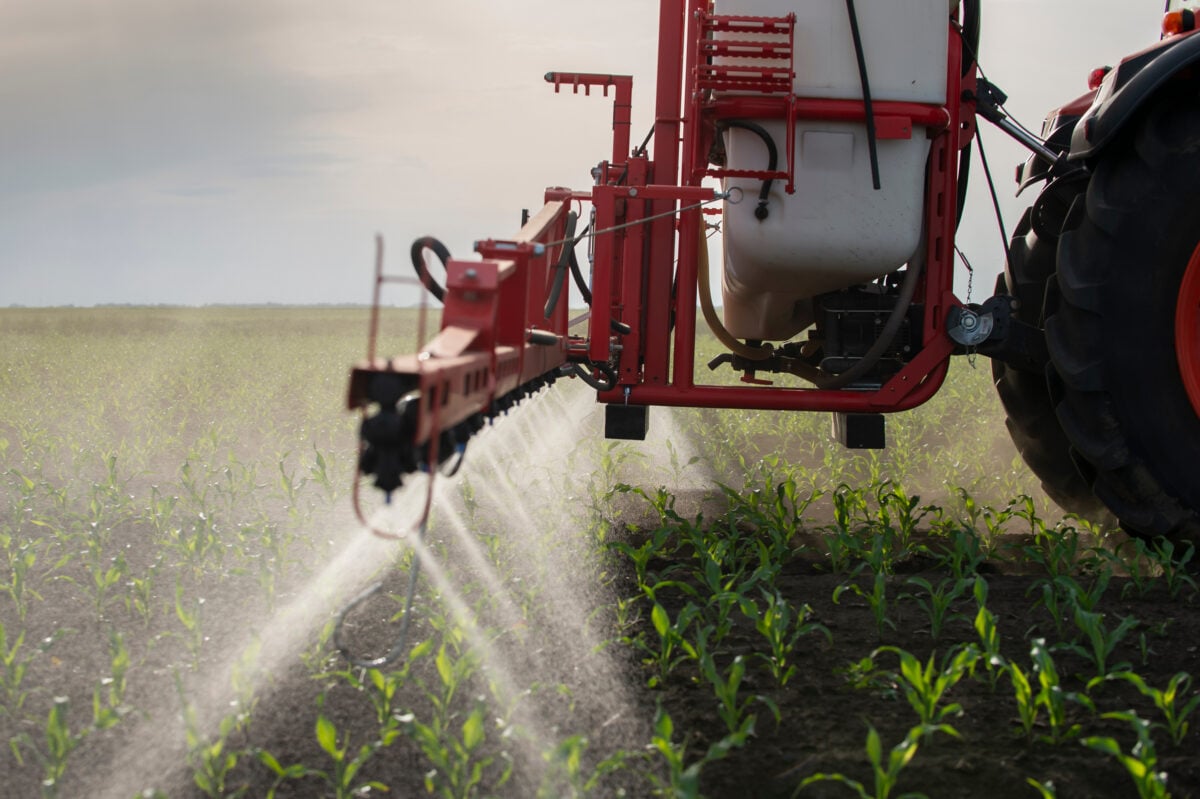 A tractor spraying pesticides on corn fields