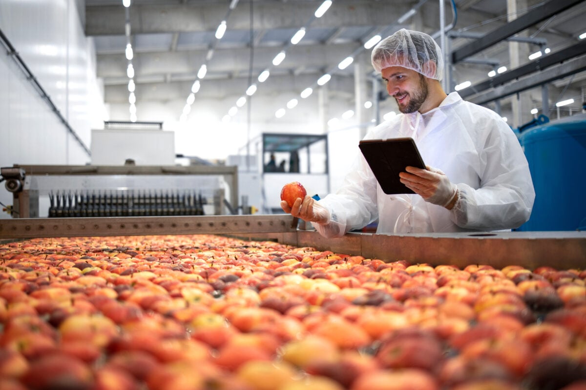 Photo shows a worker in a food processing factory inspecting an apple from a huge container of fruit