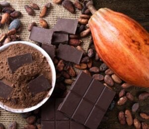 Photo shows a large cocoa pod alongside dried beans, a chocolate bar, and a bowl of cocoa powder