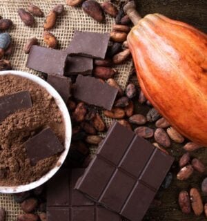 Photo shows a large cocoa pod alongside dried beans, a chocolate bar, and a bowl of cocoa powder