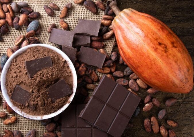 Photo shows a large cocoa pod alongside dried beans, a chocolate bar, and a bowl of cocoa powder