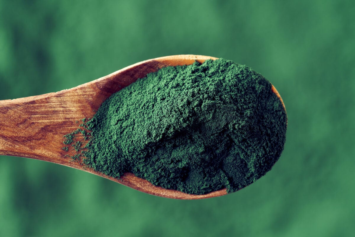 Photo shows a wooden spoon full of spirulina powder