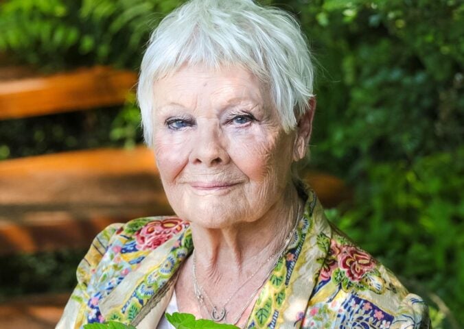 Photo shows actor Dame Judi Dench outdoors holding some green leaves