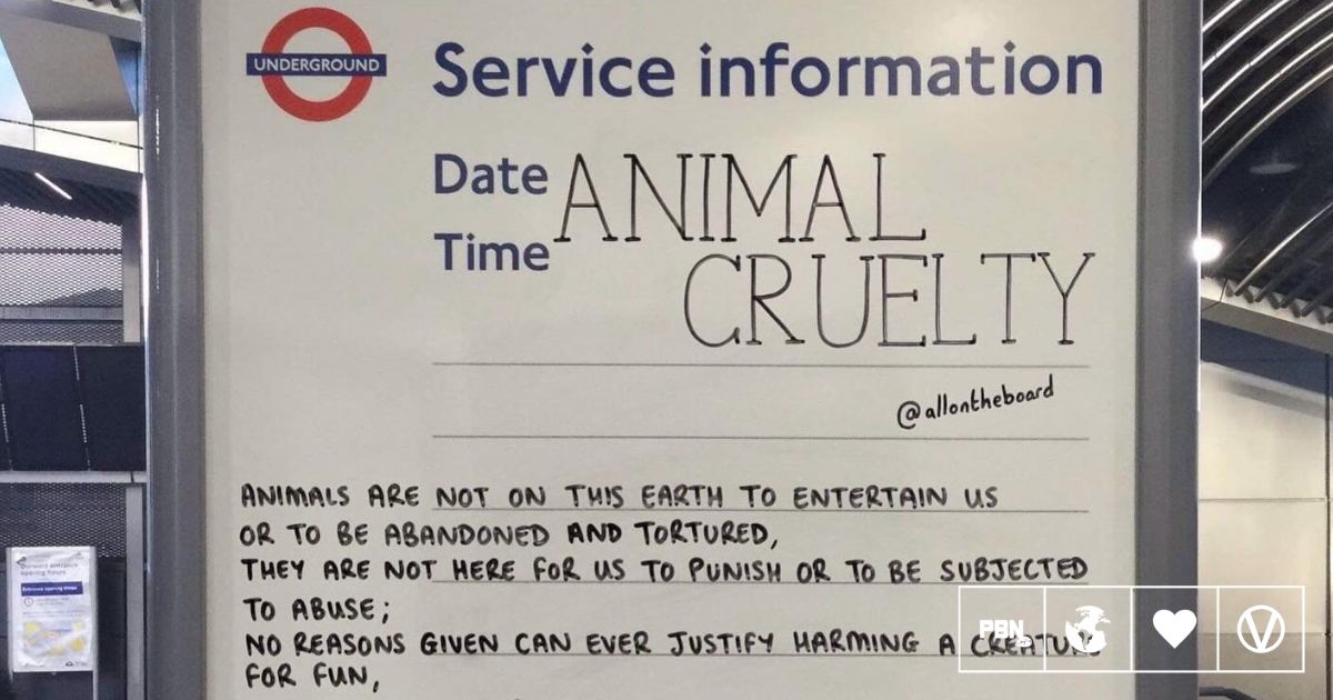 All On The Board London Underground Duo Share AntiAnimal Cruelty Message