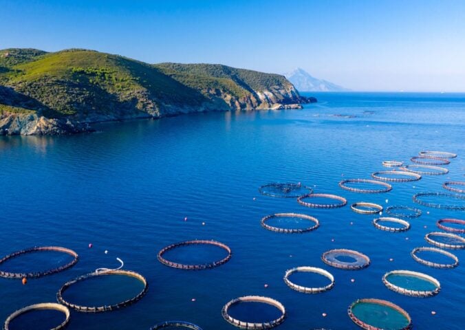 Photo shows a large aquaculture farm in a bay