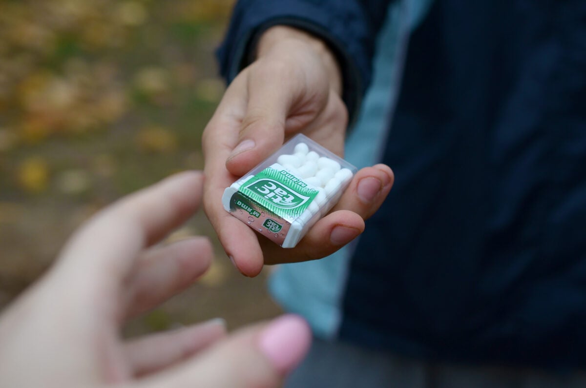 Photo shows a young person holding out a pack of original mint flavor Tic Tacs to someone else