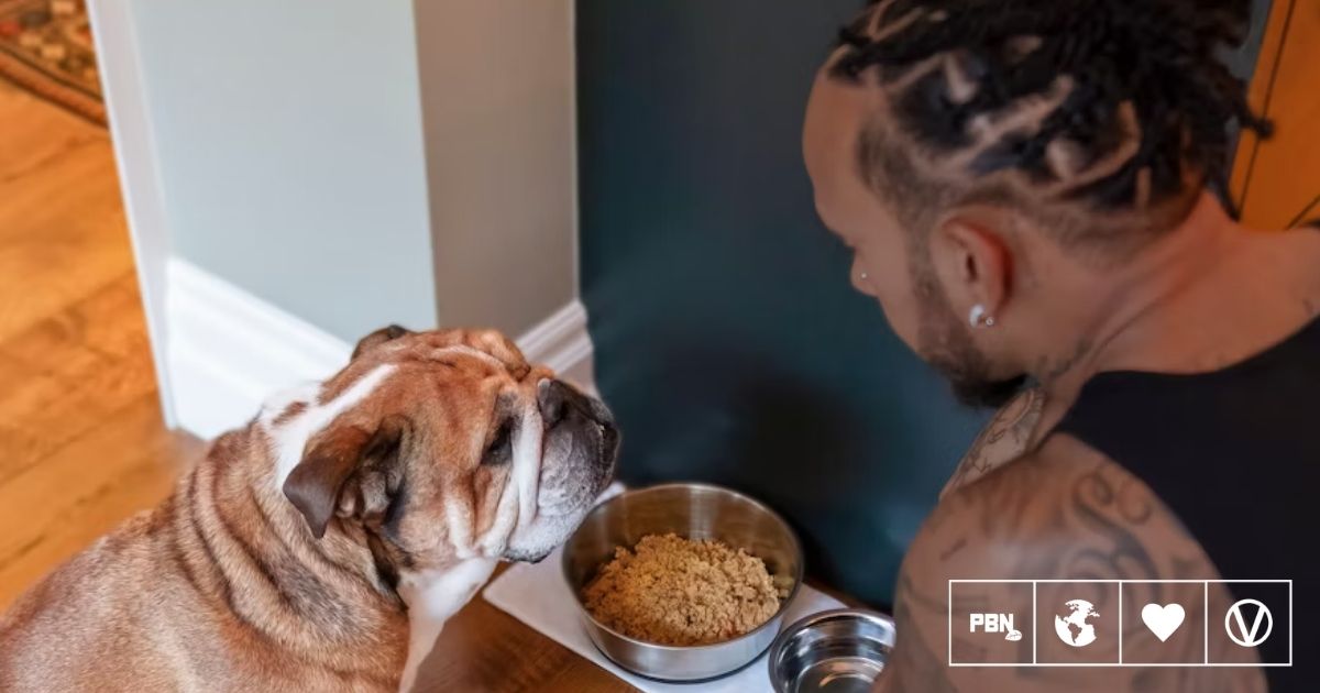 Lewis Hamilton Says Bulldog Roscoe Is A 'Different Dog' Since ...