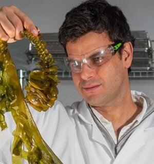 Photo shows Notpla co-founder and co-CEO Rodrigo García González holding up a strand of seaweed in a lab setting