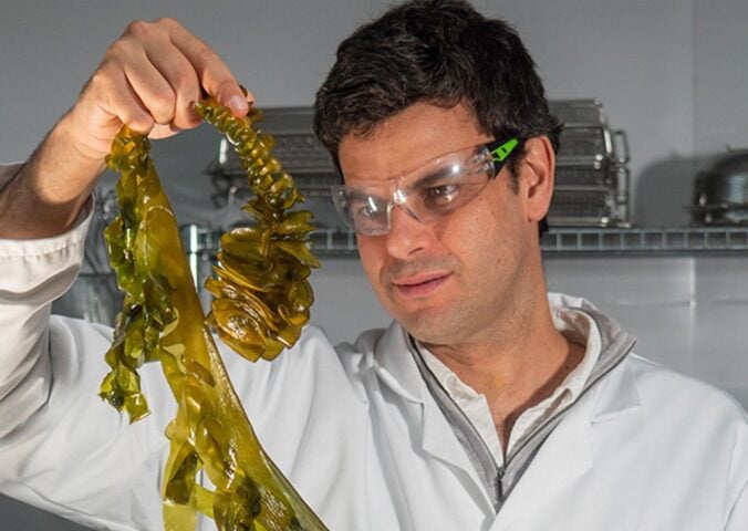 Photo shows Notpla co-founder and co-CEO Rodrigo García González holding up a strand of seaweed in a lab setting