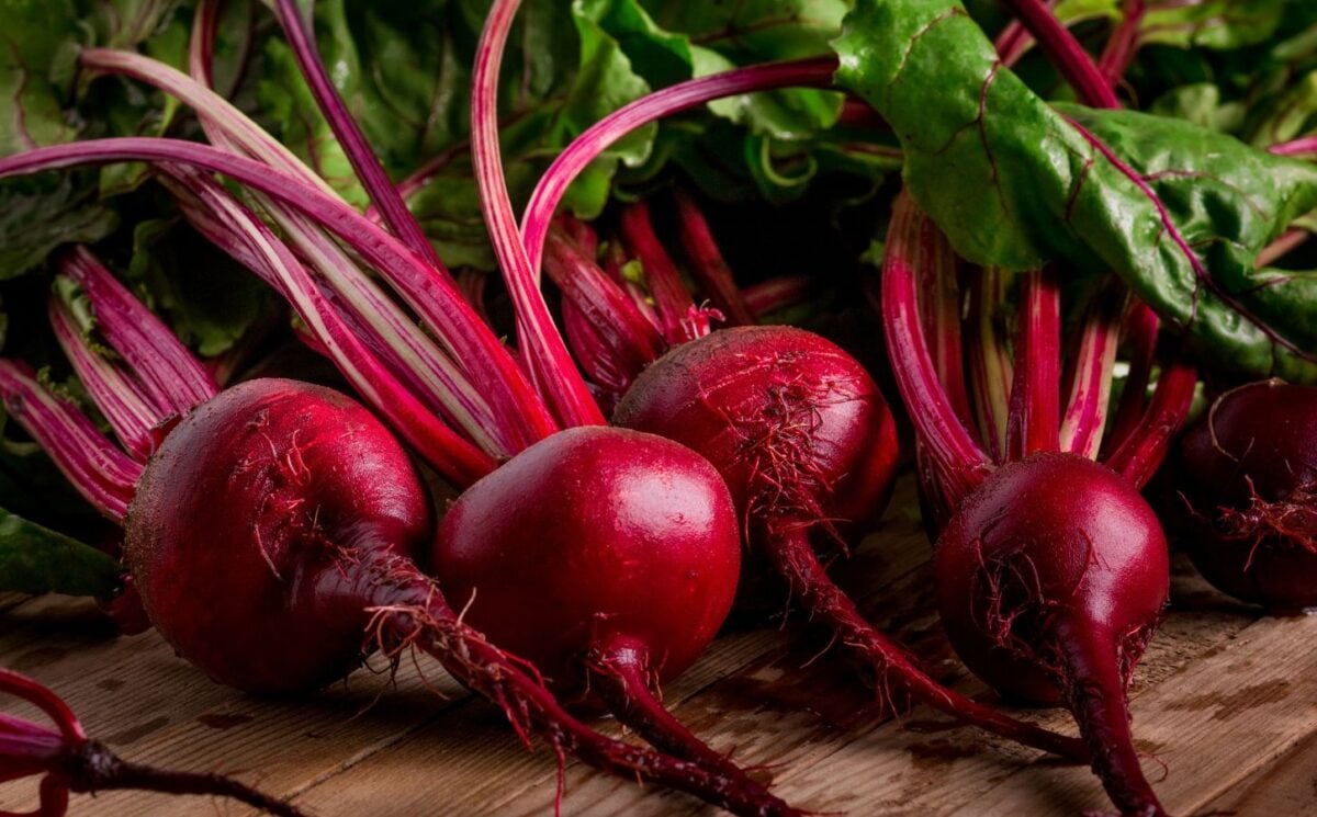 Photo shows a pile of rich purple beets with bright green leaves