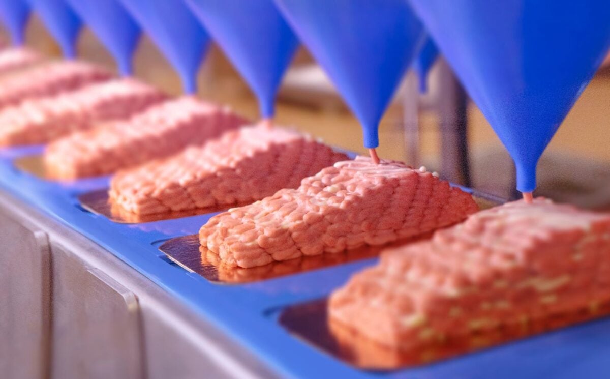 Photo shows the new Revo Foods mycoprotein salmon fillet, produced at the company's new large-scale 3D printing facility