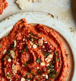 a picture of vibrant and smoky kidney bean dip made with canned red peppers and sun-dried tomatoes