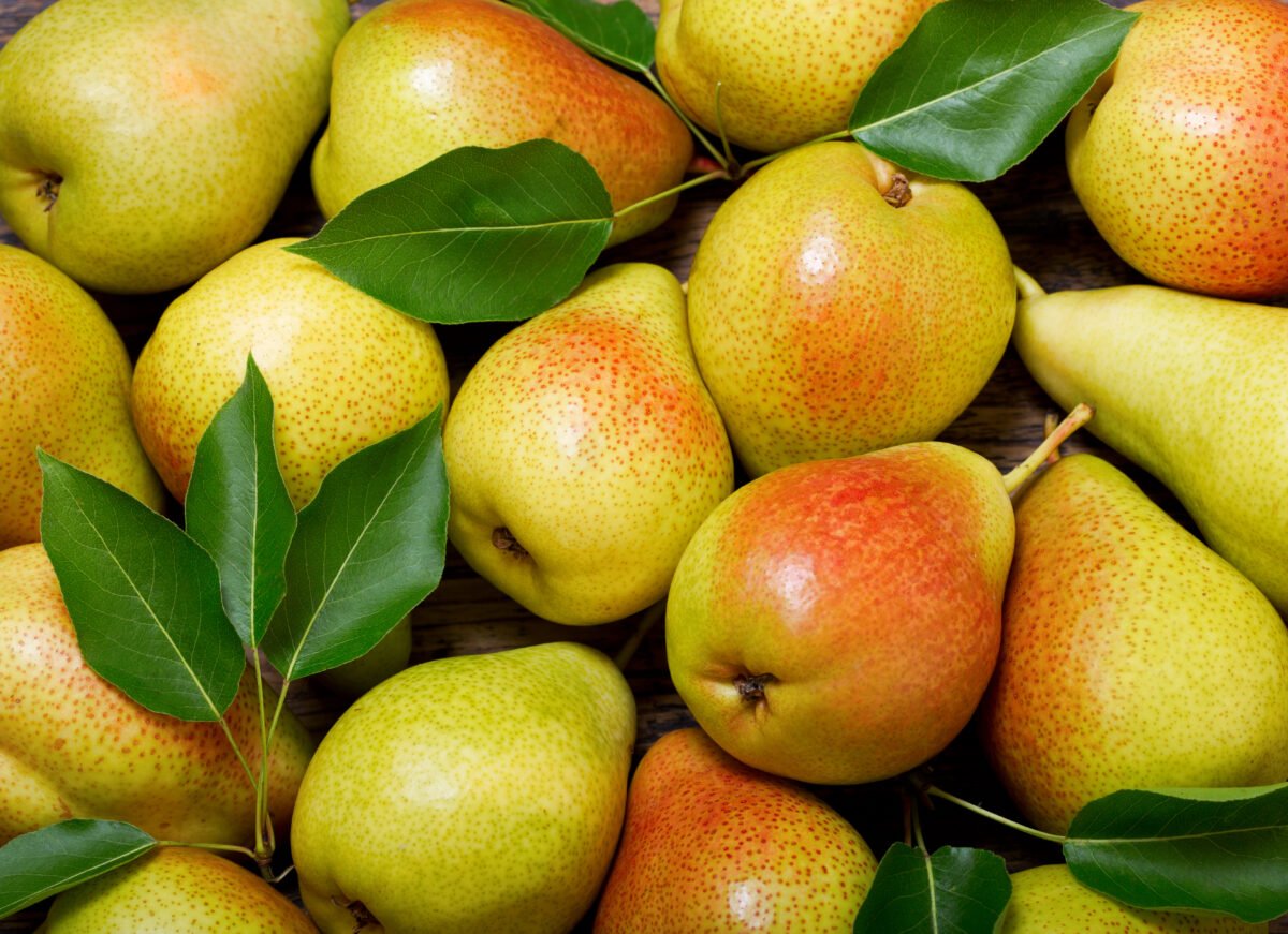 Photo shows a pile of fresh pears