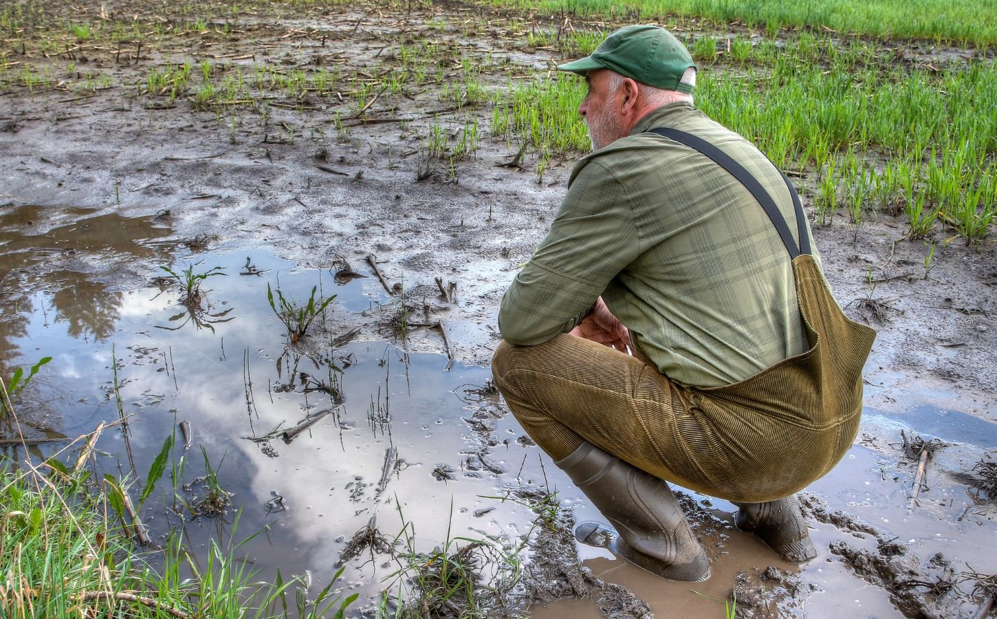 Farmer in waterlogged field