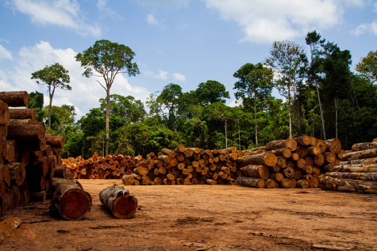 Photo shows a logging encampment in the Amazon region